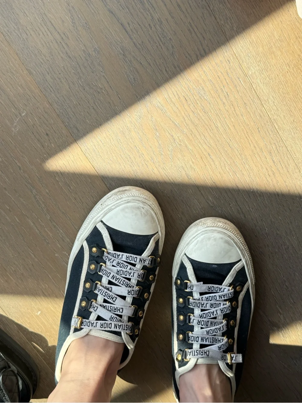 Dior Black and White Classic Sneakers